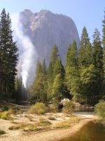 The Lost Forest Gardens Of Europe Resilience