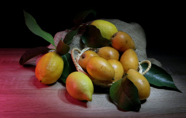 fruit still life