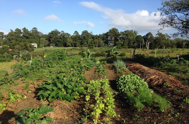 Shane Simonsen permaculture design