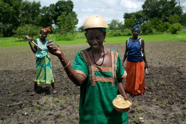 The Real Seed Producers - resilience