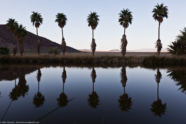 Desert greening