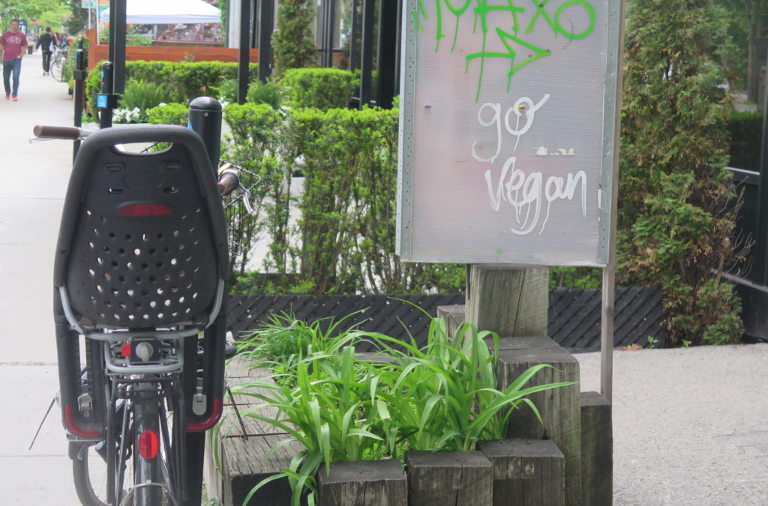 Why a Hipster, Vegan, Green Start-up Service Economy Lifestyle