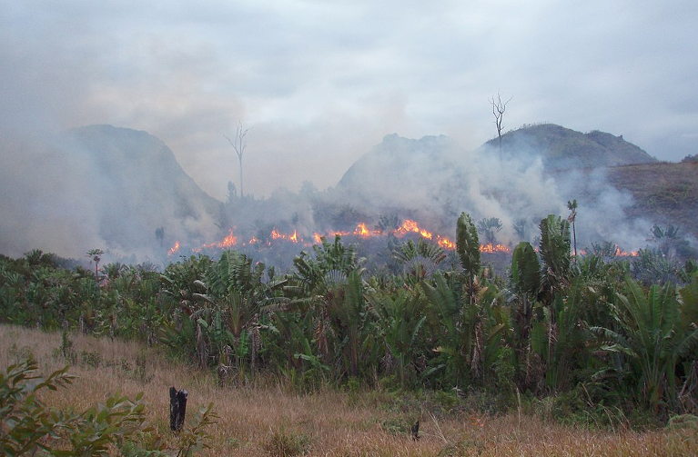 bushfires