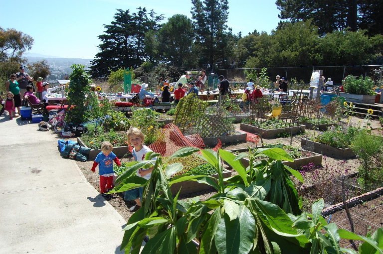 Community garden