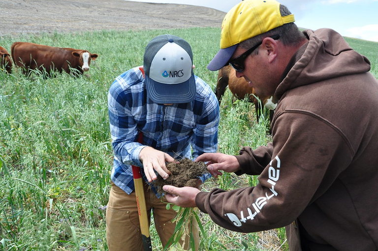 regenerative agriculture in America