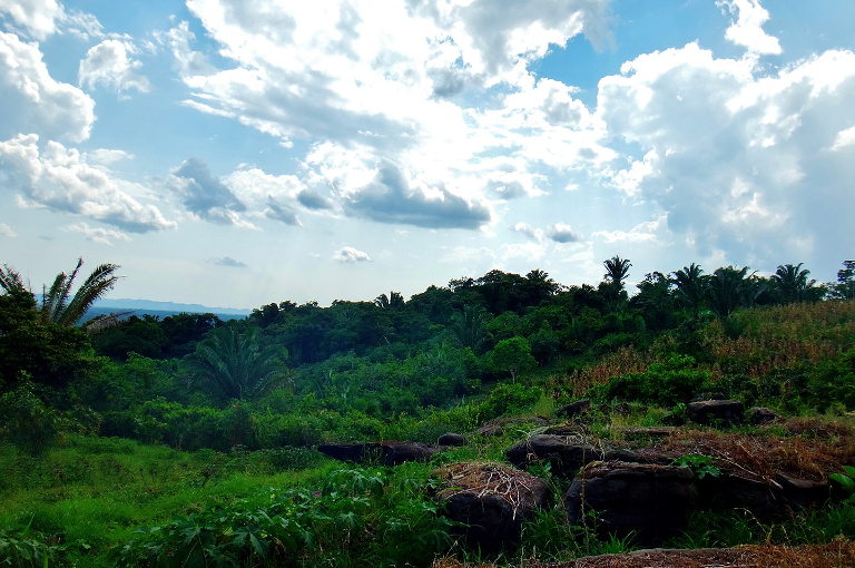 agroecology in action