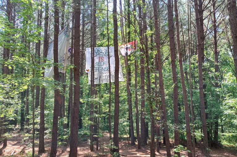 tree with banners