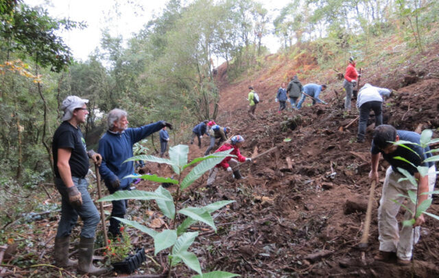 ecosystem restoration