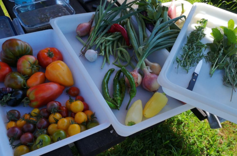 Fresh vegetables