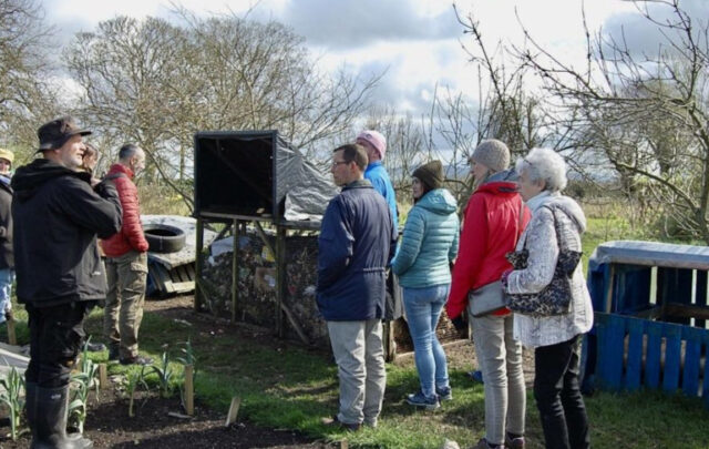 Community gardens in Ireland