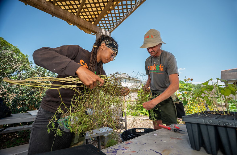 Community garden in New Orleans