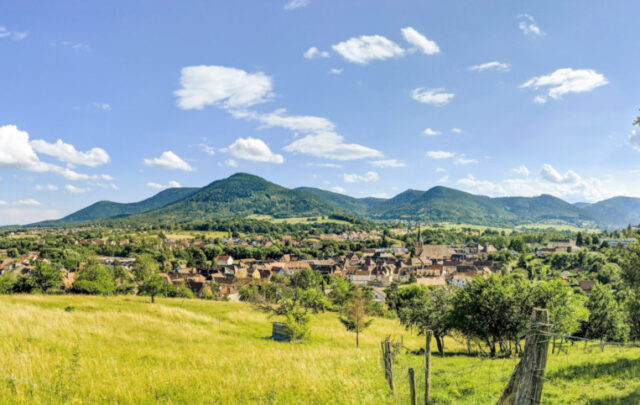 French farm land