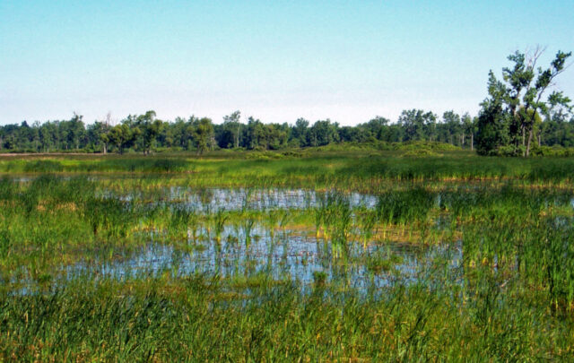 Iroquois National Wildlife Refuge