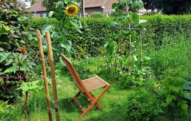 Permaculture garden