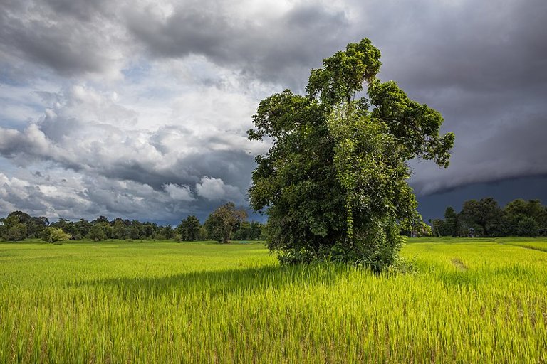 Thumbnail of Clearing skies: Opening a new path on climate and the future