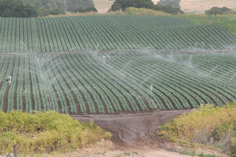 irrigation in transition in California