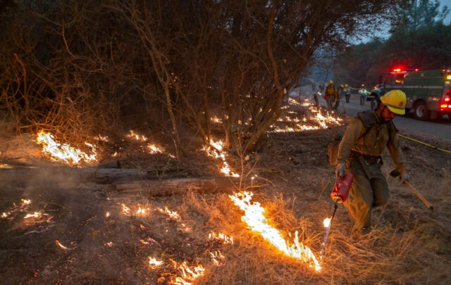 controlled burn