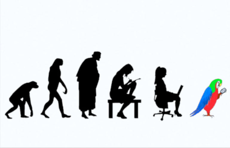 evolution of intelligence