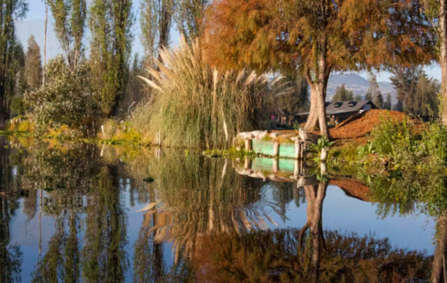 chinampas