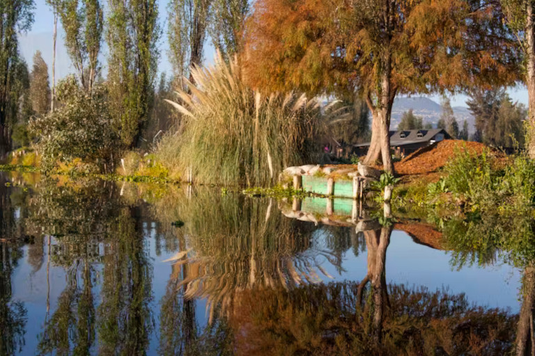 chinampas