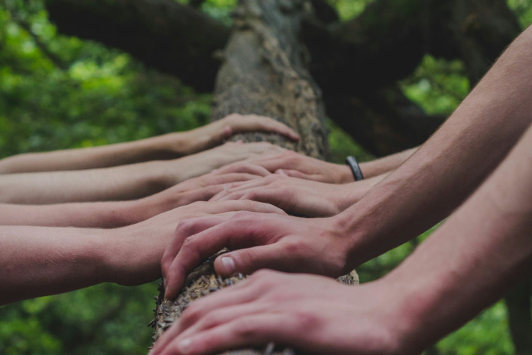 hands on tree