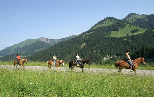 Trail riding with horses