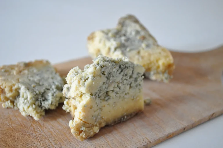 cheese with mold