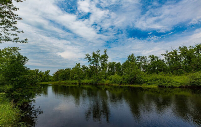 Cloquet Valley State Forest