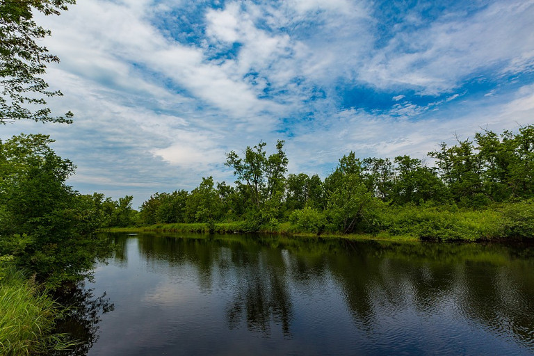 Cloquet Valley State Forest