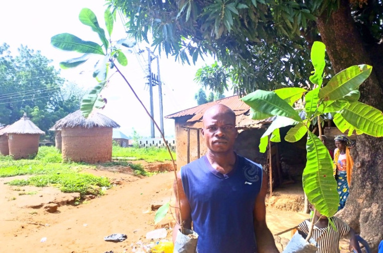 cashew tree programme beneficiary