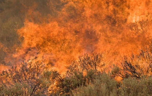 Castle Rock wildfire