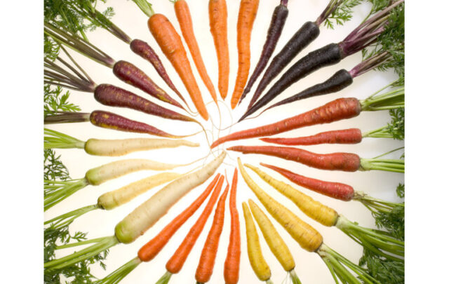 Colorful carrots