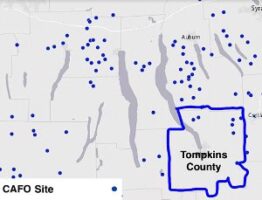 Locations of CAFOs and the Seneca Meadows Landfill within the Finger Lakes region (New York State Government).