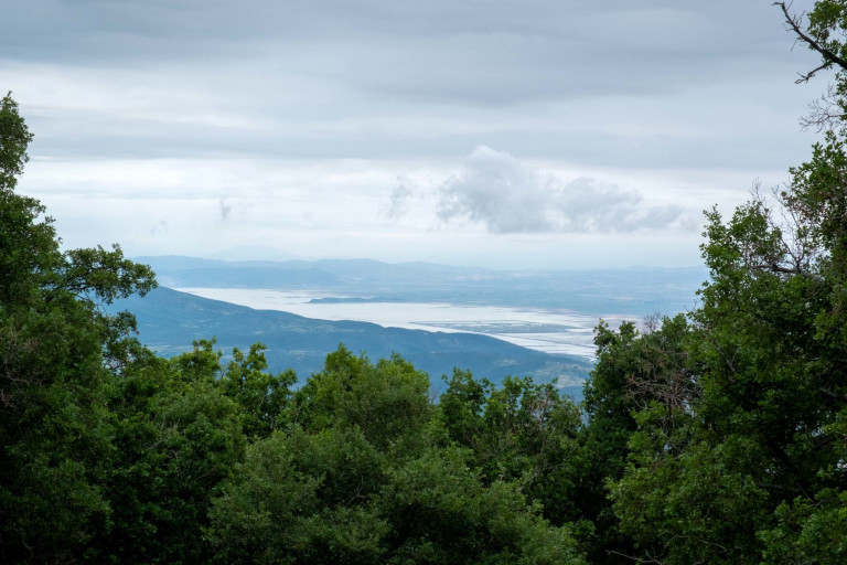 Valley of Larissa in Thessaly.