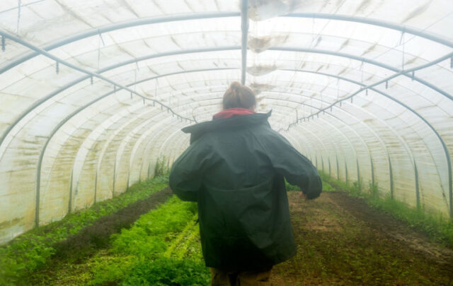 Jorn showing me around De Kollebloem farm © Adèle Violette