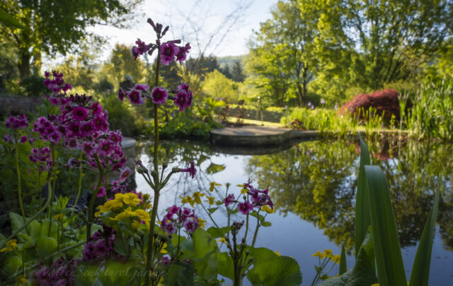 Wye Valley Sculpture Garden