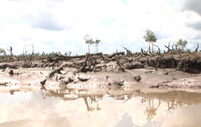 This is a Oil Spill Impacted Community In Southern Ijaw Local Council Area In Bayelsa State, Nigeria