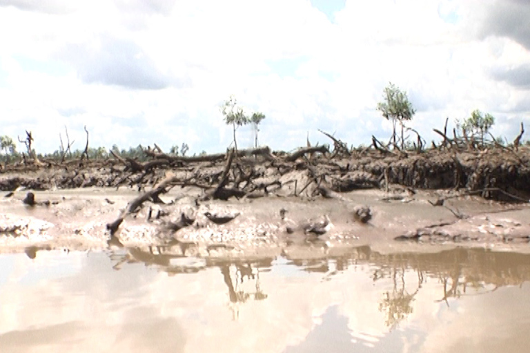 This is a Oil Spill Impacted Community In Southern Ijaw Local Council Area In Bayelsa State, Nigeria