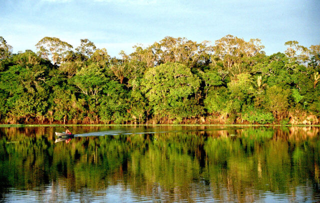 Amazonia