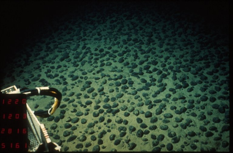 Field of type C polymetallic nodules in the northern equatorial Pacific