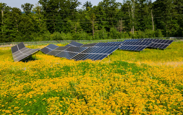 Community solar farm