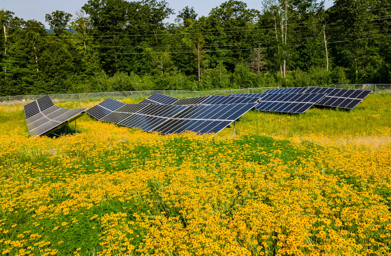 Community solar farm