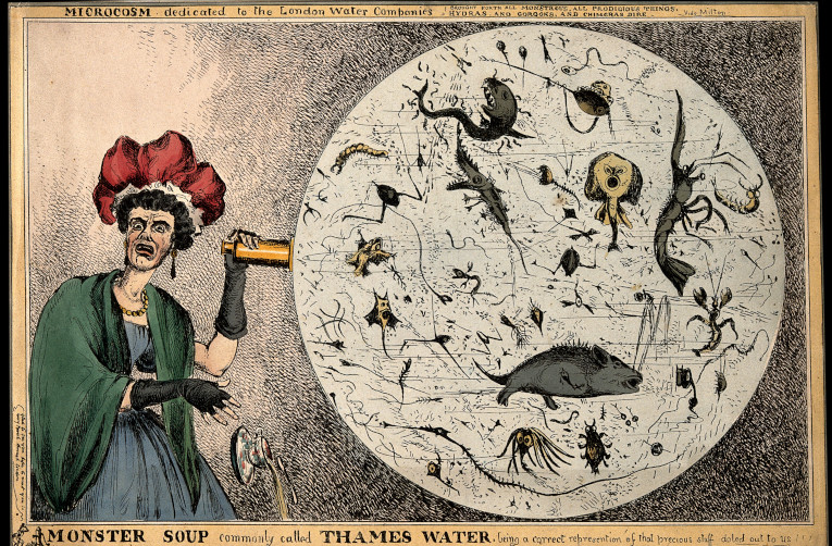 ‘The monstrous contents of a magnified drop of River Thames water’, as envisaged by the artist William Heath in 1828.