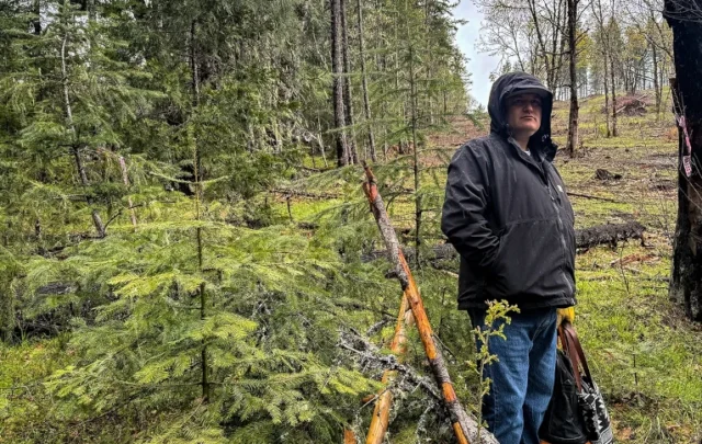 Jesse Jackson stands at the divide between a restored forest and an unrestored section, a stark difference in canopies.