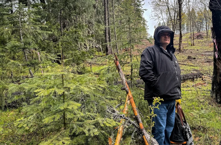 Jesse Jackson stands at the divide between a restored forest and an unrestored section, a stark difference in canopies.