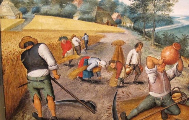 Peasants harvesting crops, by Pieter Brueghel.