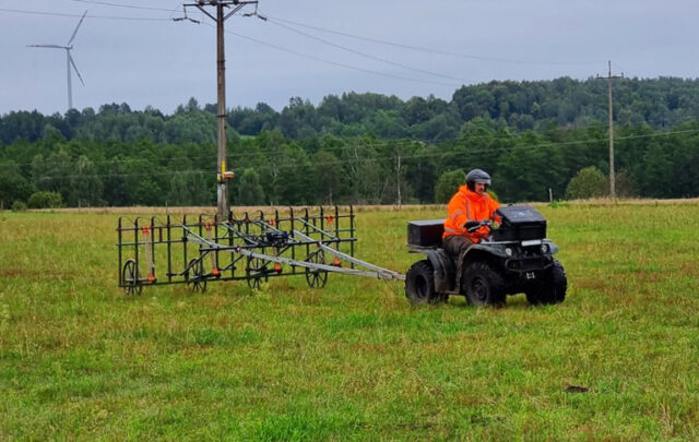 Geophysical survey using magnetometer