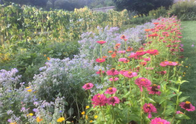 Ansembourg garden