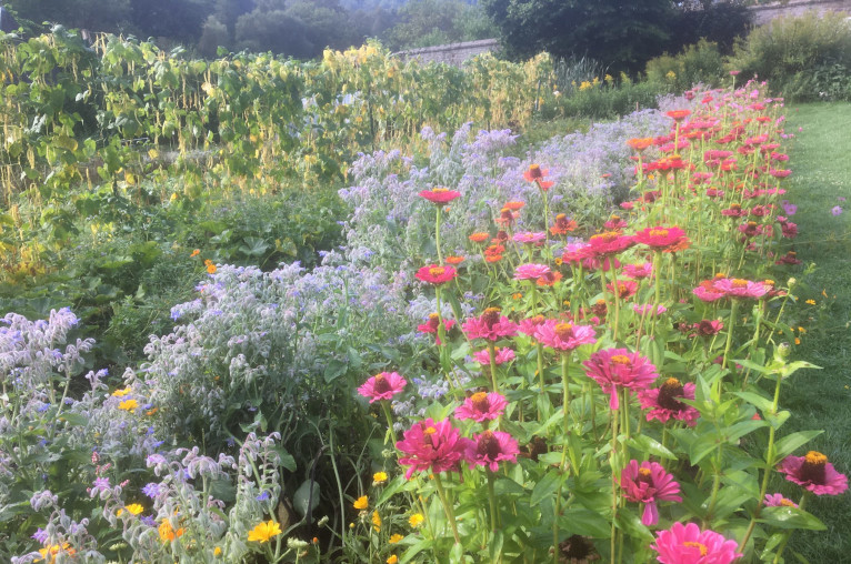 Ansembourg garden