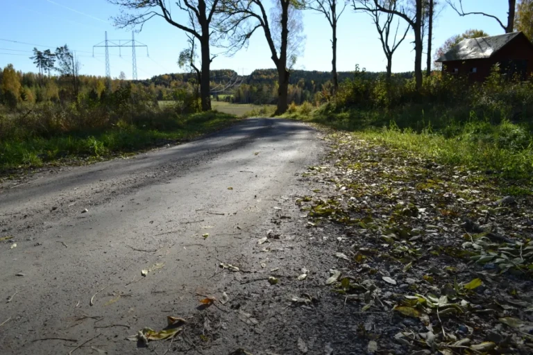 Road in Sweden